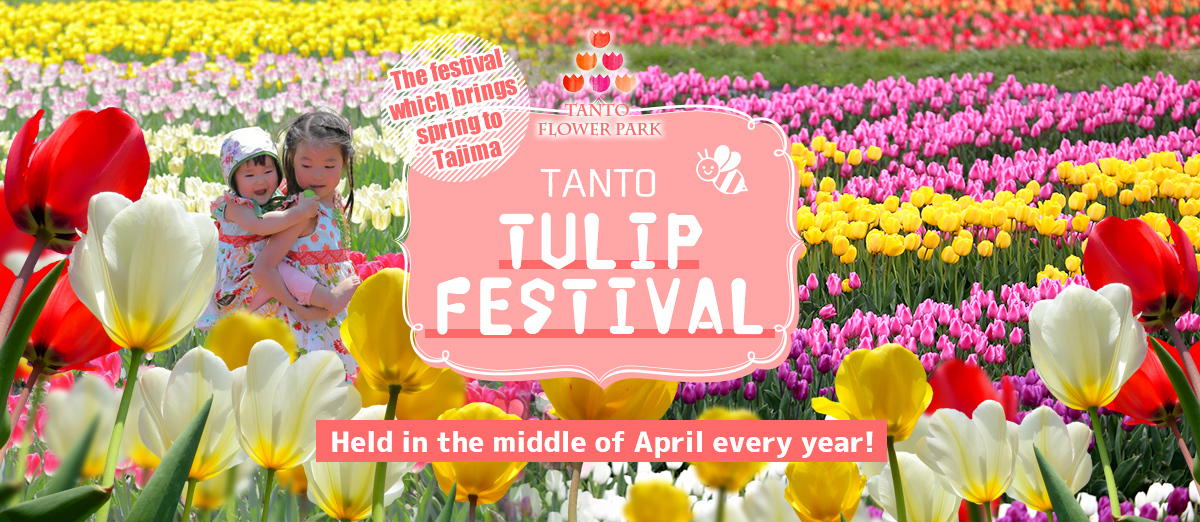 Tanto Tulip Festival