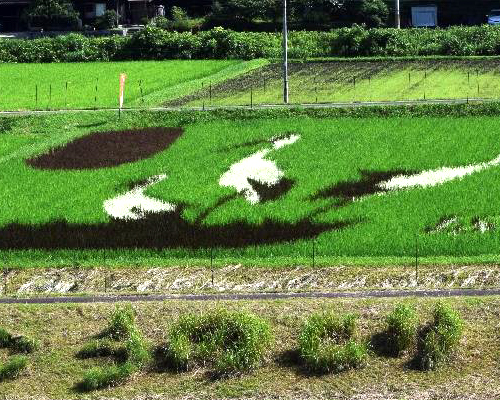 田んぼアート