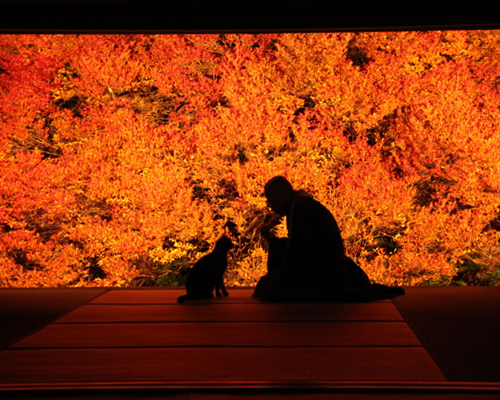 ドウダンツツジ