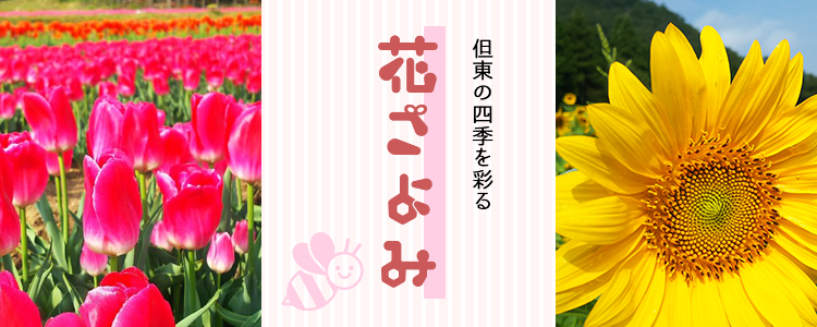 但東の四季を彩る花ごよみ