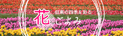 但東の四季を彩る　花ごよみ