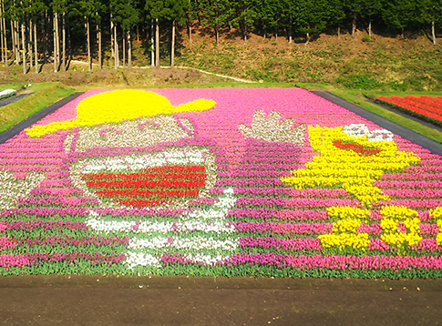 フラワーアート