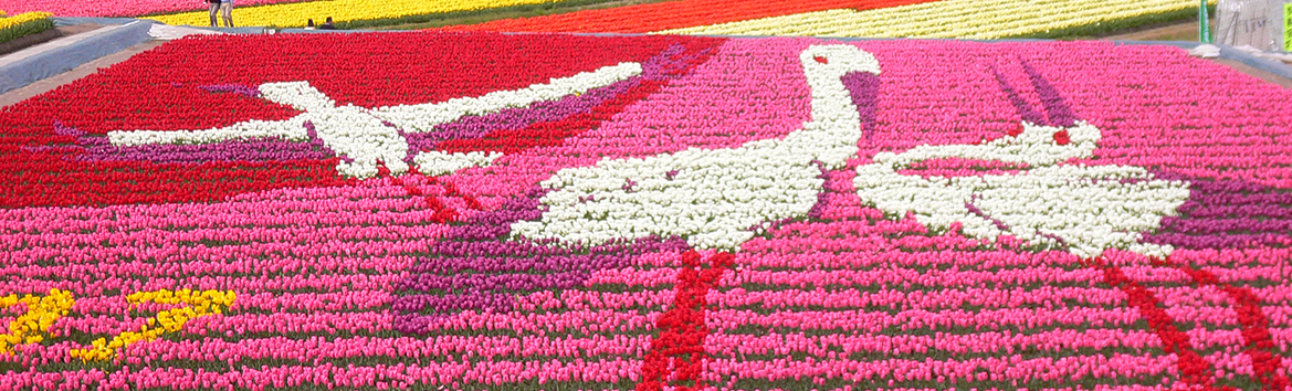 フラワーアート